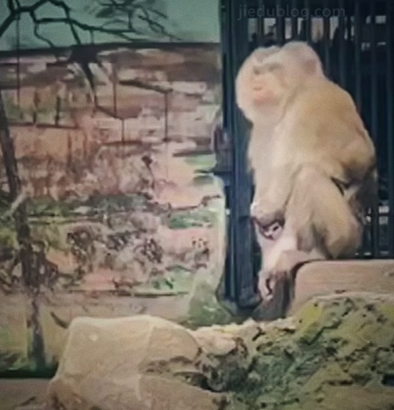 有人天天打飞机,照样精力充沛,有什么秘诀 dafeiji.jpg